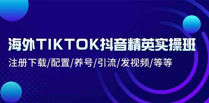 海外TIKTOK抖音精英实操班：注册下载/配置/养号/引流/发视频/等等-网创空间