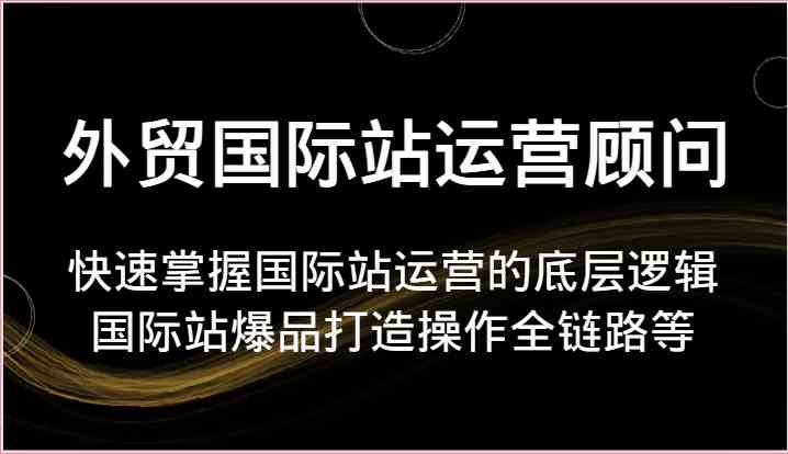 外贸国际站运营顾问-快速掌握国际站运营的底层逻辑，国际站爆品打造操作全链路等-网创空间