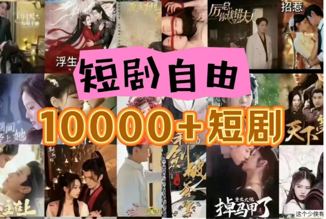 打造完全属于自己的个人短剧库，实现网盘拉新与私域变现的完美融合！-网创空间