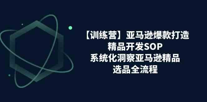 亚马逊爆款打造之精品开发SOP【训练营】，系统化洞察亚马逊精品选品全流程-网创空间
