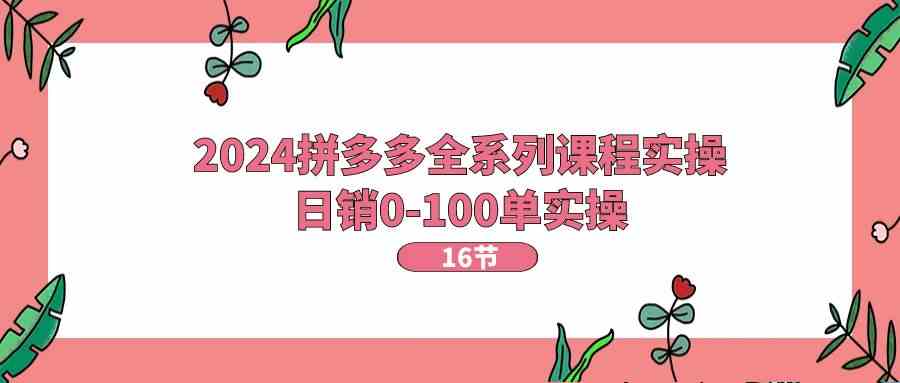 2024拼多多全系列课程实操，日销0-100单实操【16节课】-网创空间