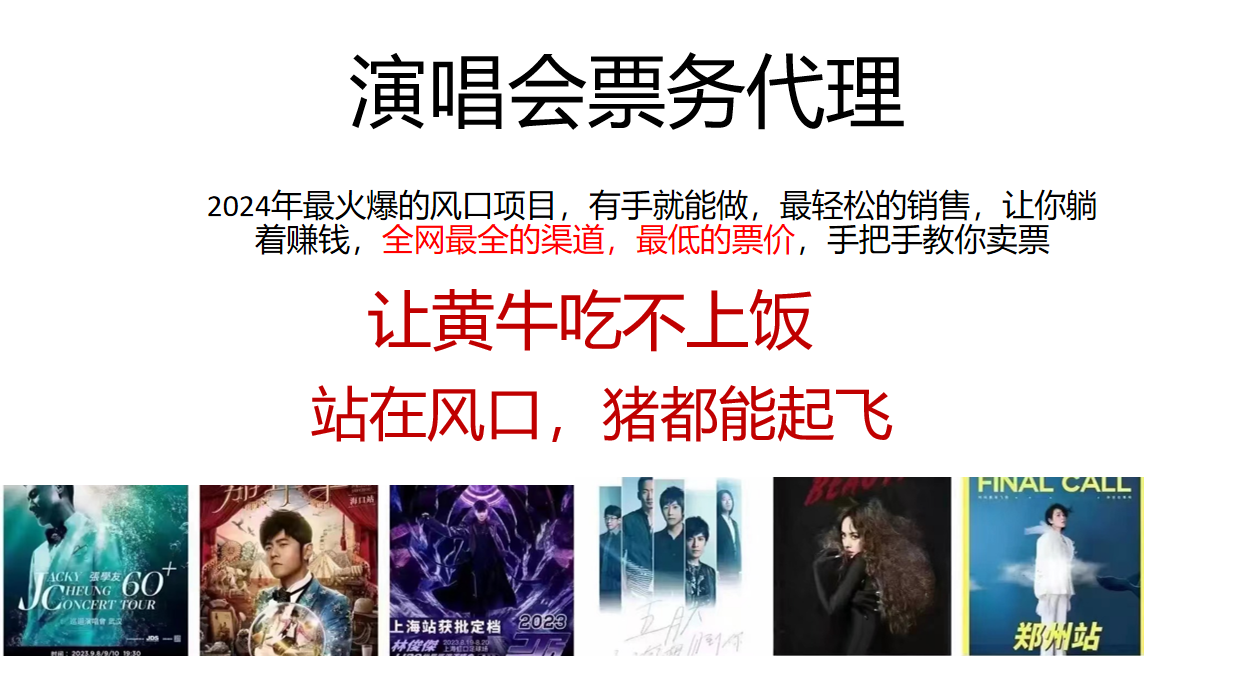 2024年最火爆风口项目，演唱会票务代理，日入2000+，一部手机就能搞定！-网创空间