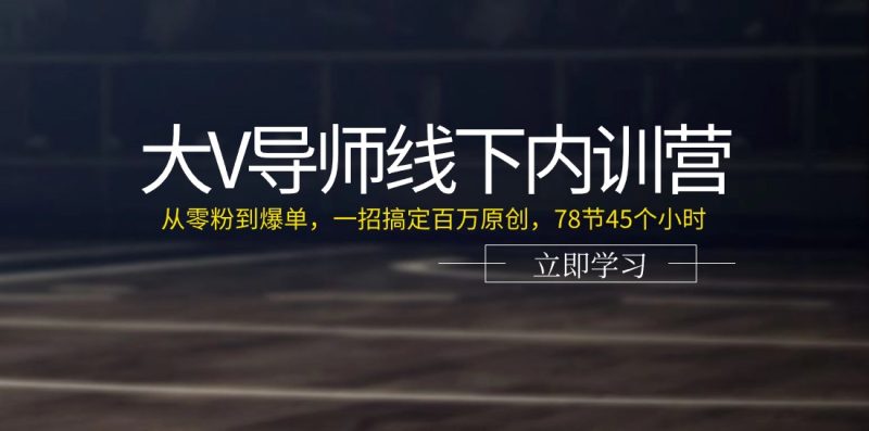 大V导师线下内训营：从零粉到爆单，一招搞定百万原创（78节45个小时）-网创空间