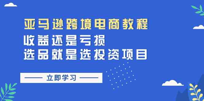 亚马逊跨境电商教程：收益还是亏损！选品就是选投资项目-网创空间