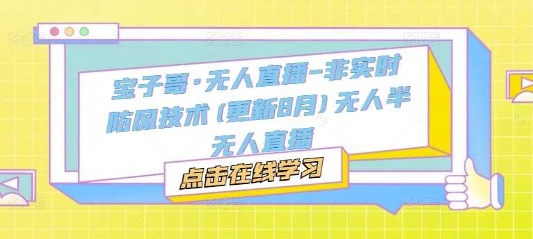 宝子哥·无人直播-非实时防风技术(更新11月)无人半无人直播-网创空间