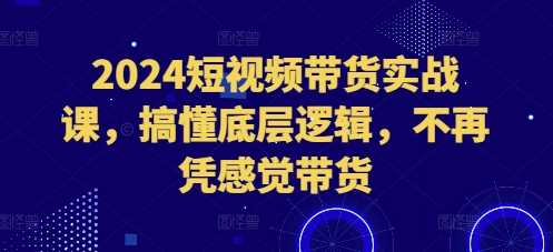 2024短视频带货实战课，搞懂底层逻辑，不再凭感觉带货-网创空间