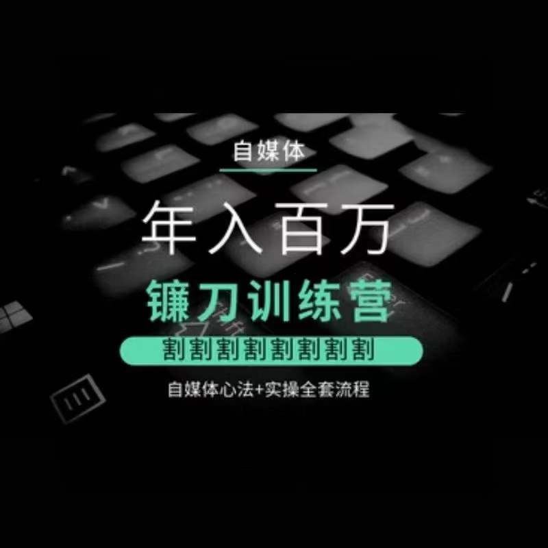 自媒体年入百万镰刀训练营，割割割割割割割割，自媒体心法+实操全套流程-网创空间