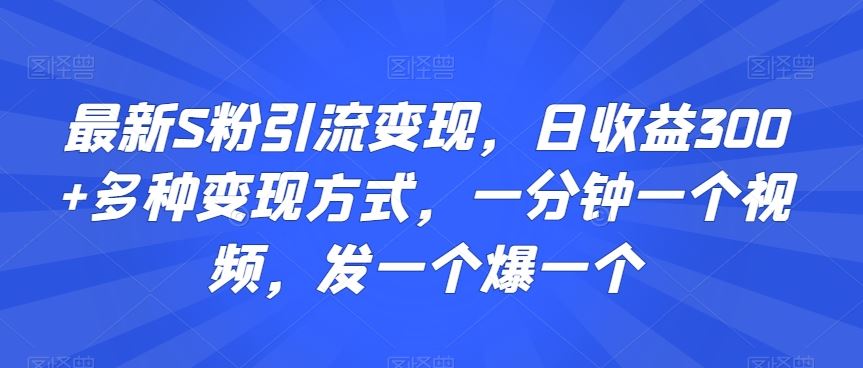 最新S粉引流变现，日收益300+多种变现方式，一分钟一个视频，发一个爆一个【揭秘】-网创空间