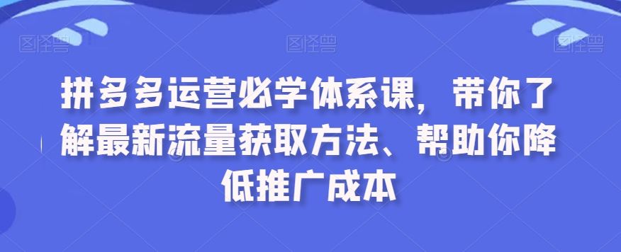 拼多多运营必学体系课，带你了解最新流量获取方法、帮助你降低推广成本-网创空间