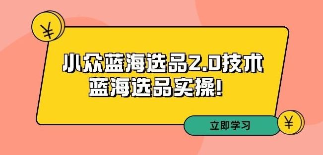 拼多多培训第33期：小众蓝海选品2.0技术-蓝海选品实操！-网创空间