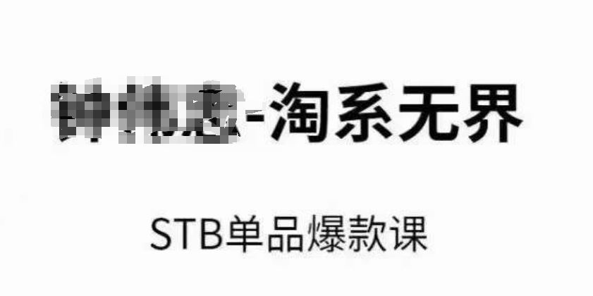 淘系无界STB单品爆款课（2024），付费带动免费的核心逻辑，万相台无界关键词推广/精准人群的核心-网创空间