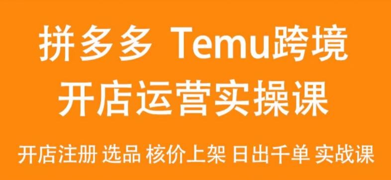 2024Temu最新玩法，Temu跨境开店运营实操课，开店注册/选品/核价上架/日出千单实战课-网创空间