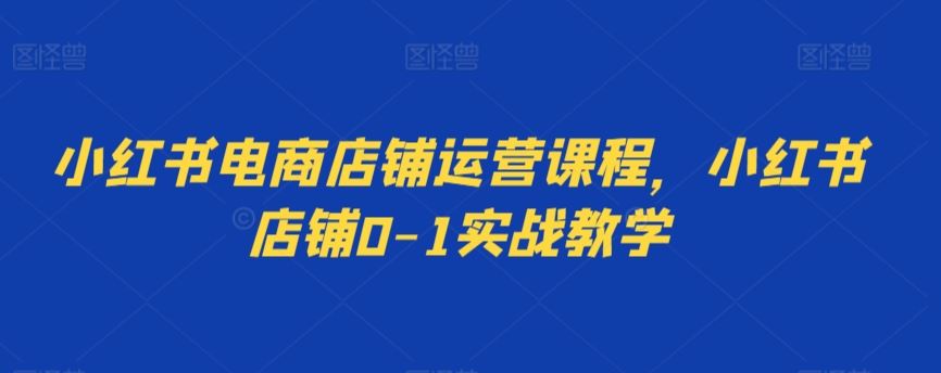 小红书电商店铺运营课程，小红书店铺0-1实战教学-网创空间