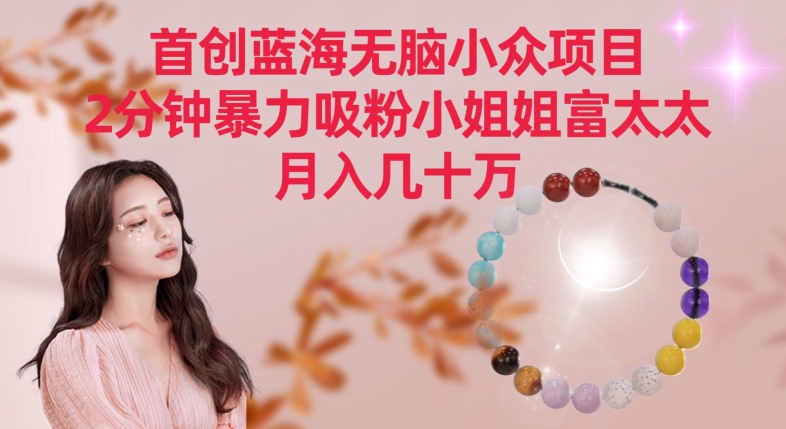 首创蓝海无脑小众项目，2分钟暴力吸粉小姐姐富太太，月入几十万-网创空间