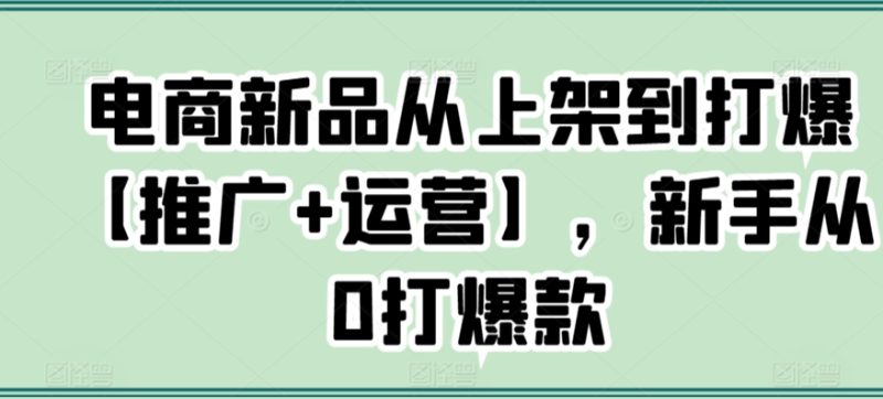 电商新品从上架到打爆【推广+运营】，新手从0打爆款-网创空间