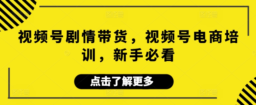 视频号剧情带货，视频号电商培训，新手必看-网创空间