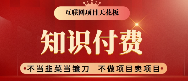 2024互联网项目天花板，新手小白也可以通过知识付费月入10W，实现财富自由-网创空间