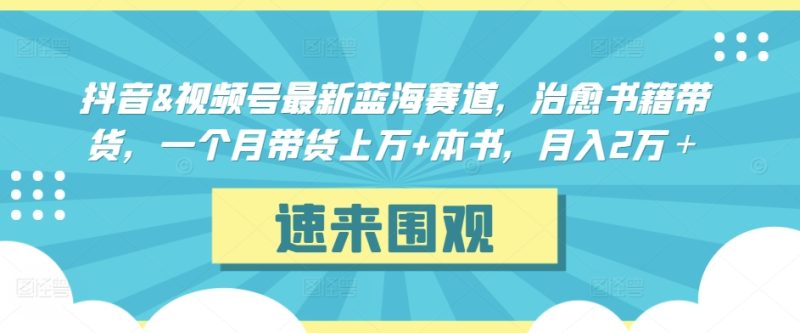 抖音&视频号最新蓝海赛道，治愈书籍带货，一个月带货上万+本书，月入2万＋-网创空间