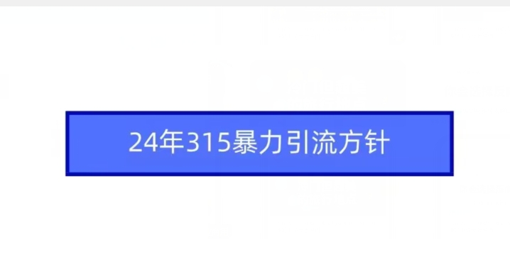24年315暴力引流方针-网创空间