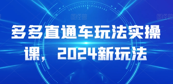 多多直通车玩法实操课，2024新玩法-网创空间