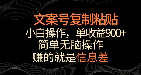 文案号掘金，简单复制粘贴，小白操作，单作品收益900+-网创空间