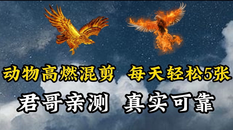 动物超燃混剪，每天轻松5张，剪辑简单大家爱看-网创空间