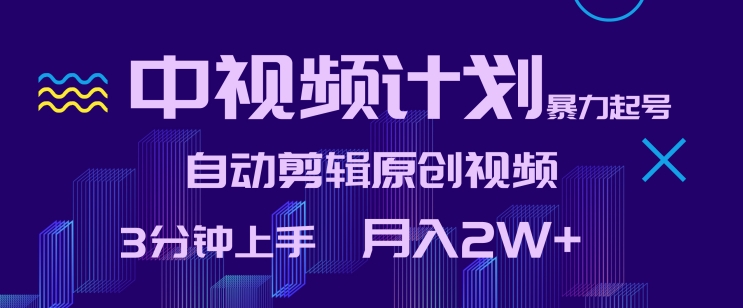 中视频计划暴力起号，自动剪辑原创视频，3分钟上手，月入2W+-网创空间