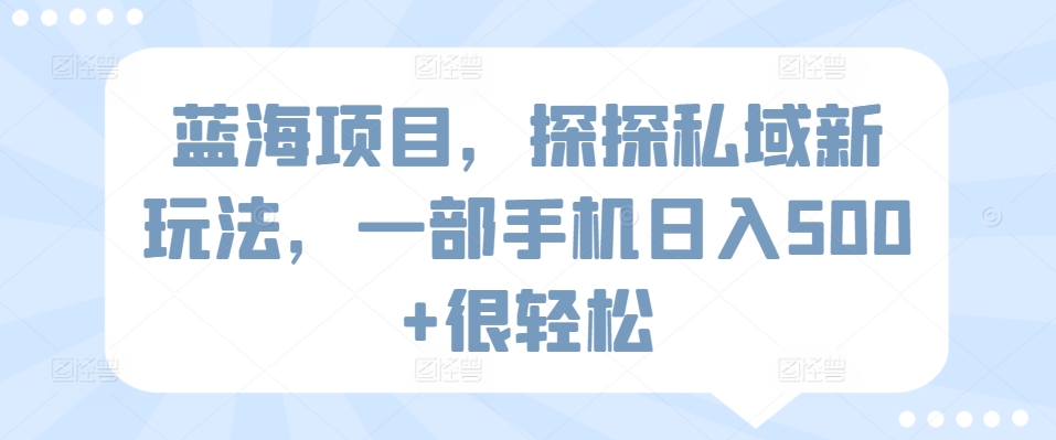 蓝海项目，探探私域新玩法，一部手机日入500+很轻松-网创空间