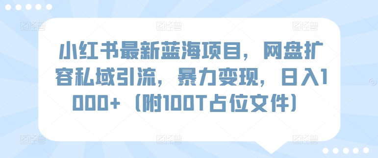 小红书最新蓝海项目，网盘扩容私域引流，暴力变现，日入1000+（附100T占位文件）-网创空间