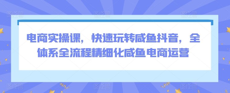 电商实操课，快速玩转咸鱼抖音，全体系全流程精细化咸鱼电商运营-网创空间
