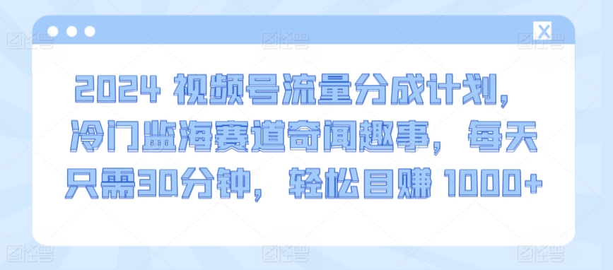2024视频号流量分成计划，冷门监海赛道奇闻趣事，每天只需30分钟，轻松目赚 1000+-网创空间