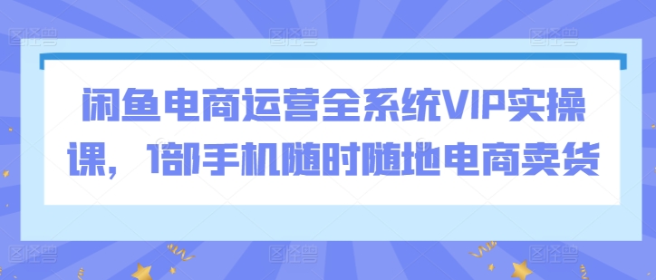 闲鱼电商运营全系统VIP实操课，1部手机随时随地电商卖货-网创空间
