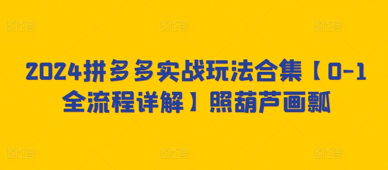 2024拼多多实战玩法合集【0-1全流程详解】照葫芦画瓢-网创空间
