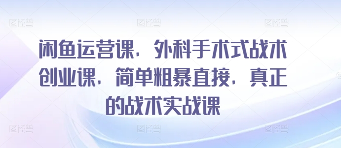 闲鱼运营课，外科手术式战术创业课，简单粗暴直接，真正的战术实战课-网创空间