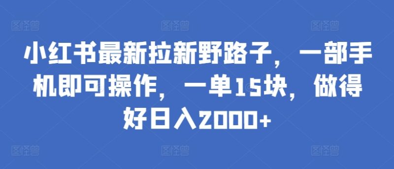 小红书最新拉新野路子，一部手机即可操作，一单15块，做得好日入2000+-网创空间