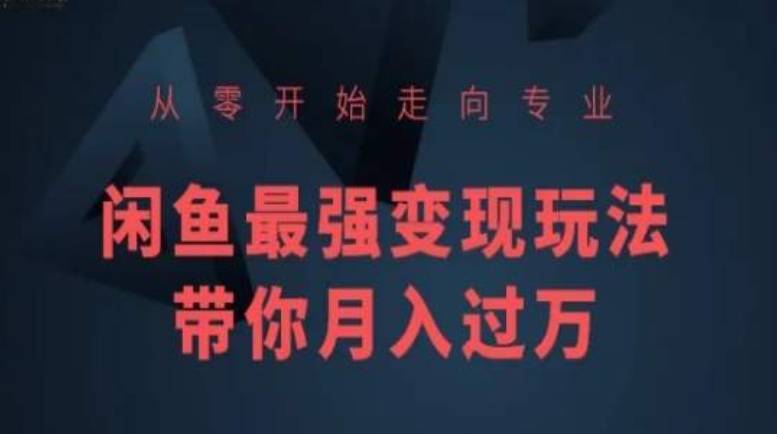 从零开始走向专业，闲鱼最强变现玩法带你月入过万-网创空间