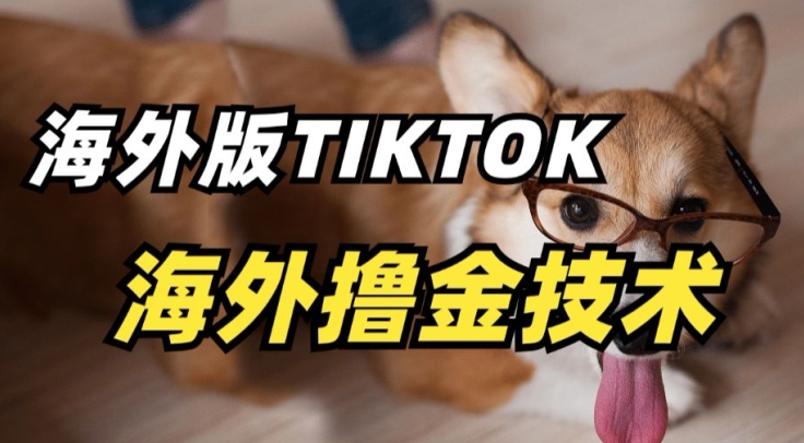抖音海外版tiktok撸金技术，这个风口行业，赚钱真的不难-网创空间