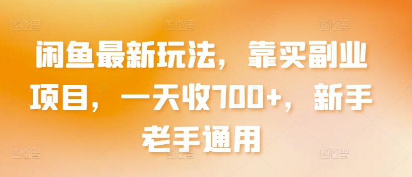 闲鱼最新玩法，靠买副业项目，一天收700+，新手老手通用-网创空间