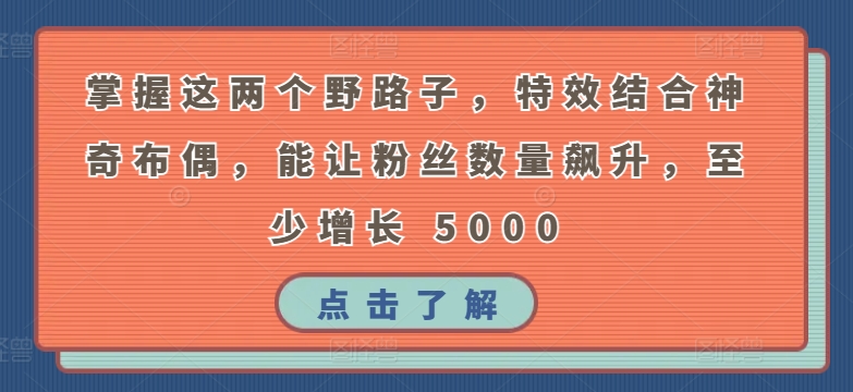 掌握这两个野路子，特效结合神奇布偶，能让粉丝数量飙升，至少增长 5000-网创空间