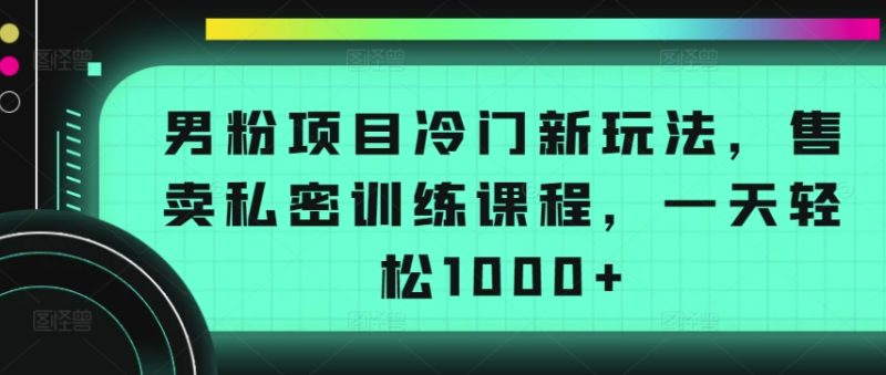 男粉项目冷门新玩法，售卖私密训练课程，一天轻松1000+-网创空间
