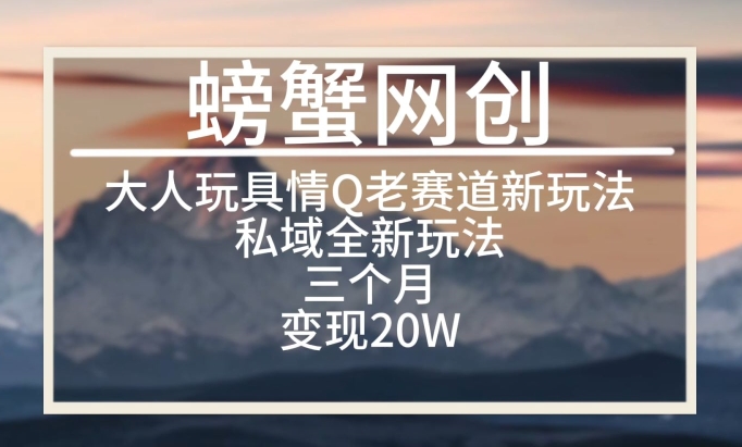 大人玩具情Q用品赛道私域全新玩法，三个月变现20W，老项目新思路-网创空间
