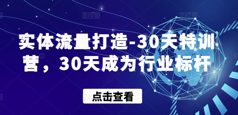 实体流量打造-30天特训营，30天成为行业标杆-网创空间