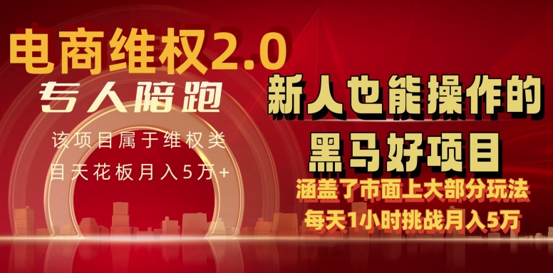电商维权 4.0 如何做到月入 5 万+每天 1 小时新人也能快速上手【仅揭秘】-网创空间