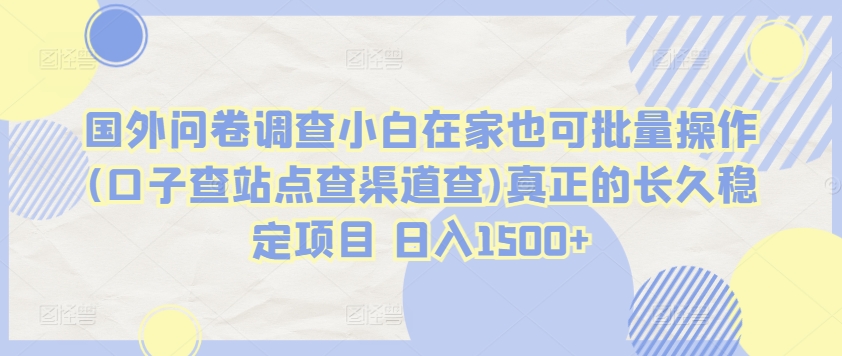 国外问卷调查小白在家也可批量操作(口子查站点查渠道查)真正的长久稳定项目 日入1500+-网创空间