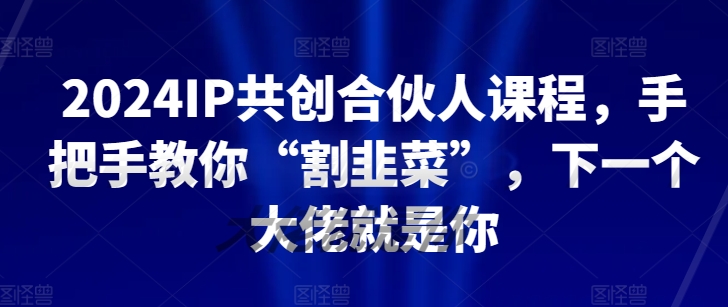 2024IP共创合伙人课程，手把手教你“割韭菜”，下一个大佬就是你-网创空间