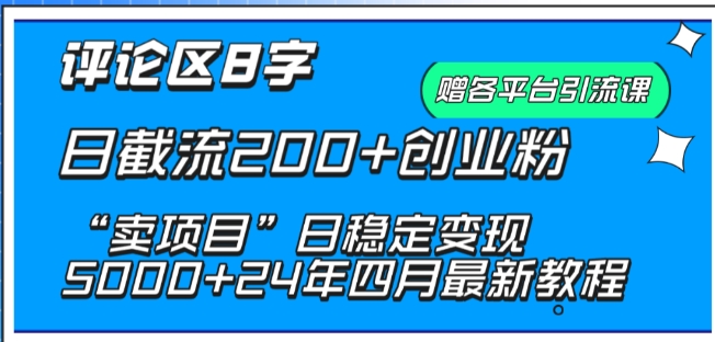 抖音评论区8字日截流200+创业粉 “卖项目”日稳定变现5000+-网创空间