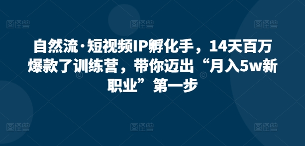 自然流·短视频IP孵化手，14天百万爆款了训练营，带你迈出“月入5w新职业”第一步-网创空间