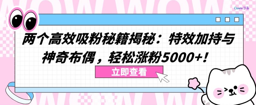 两个高效吸粉秘籍揭秘：特效加持与神奇布偶，轻松涨粉5000+-网创空间