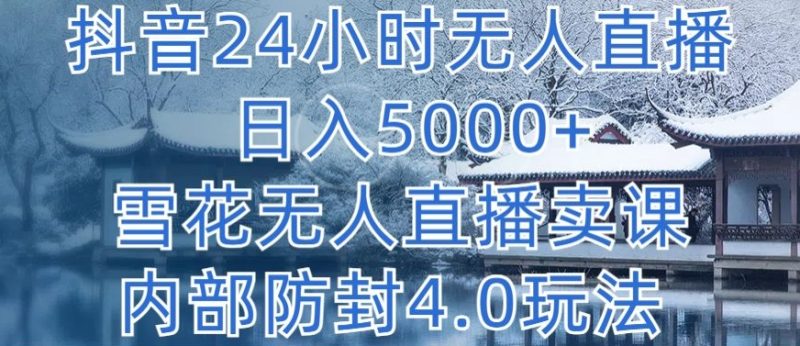 抖音24小时无人直播 日入5000+，雪花无人直播卖课，内部防封4.0玩法-网创空间