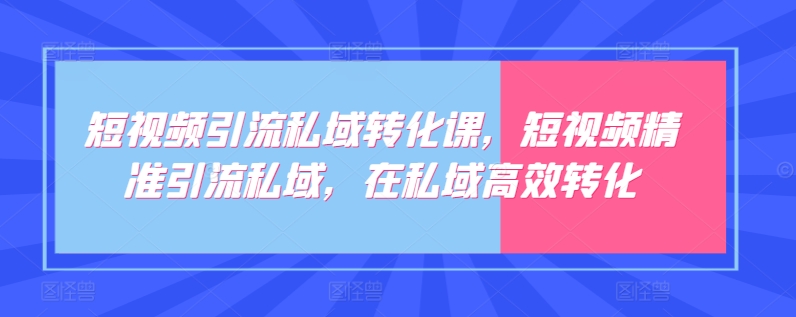 短视频引流私域转化课，短视频精准引流私域，在私域高效转化-网创空间
